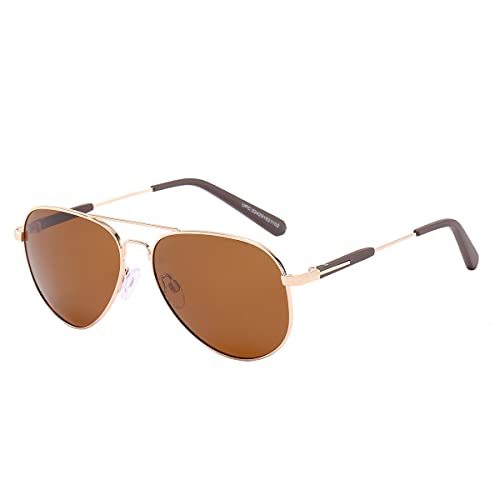 Piranha Charter Gold Aviator Sunglasses for Men with Brown Polarized Lens