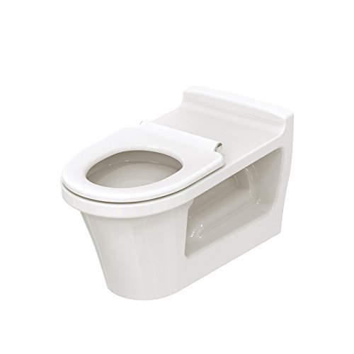 Preisvergleich Produktbild TOTO RANDLOSE WC, WANDHÄNGEND, BARRIEREFREI, TIEFSPÜLER