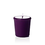 15hr Unscented Dark Purple Votive Candles - 9 per Pack