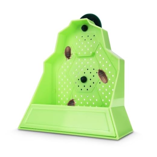 Eckpo Reptile Anti-Escape Feeding Bowl, Wall-Mounted Feeder for Reptile, Stimulate Hunting Accessories for Terrarium, Vivarium and Paludarium, Suitable for Lizard, Gecko & Frog, Small