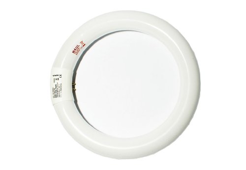 Preisvergleich Produktbild Maul Energiespar-Leuchtmittel, 22 Watt, Sockel G10Q, 6500 K 8282205