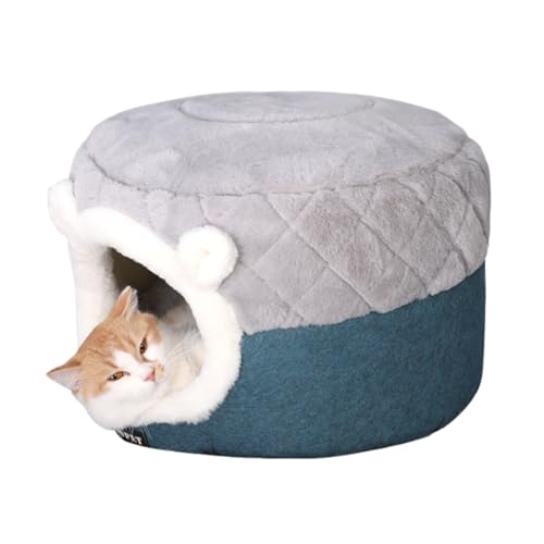 Figoday ybgxbh  L h[^ nEX \t@[ h[^xbh }bg NbV ėp Lp pnEX NbV Q O\ 􂦂 ӂӂ L xbh  ۉh   킢 (M)