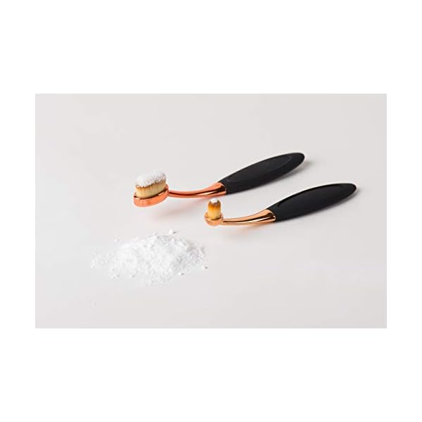 Eye Envy ProPowder Applicator Brush for Dogs and Cats | Use to Safely and Evenly Apply Tear Stain Powder | Large | Washable Superfine Fiber Hair | Long Tapered Bristles | Ergonomic Handle Eye Envy ProPowder Applicator Brush for Dogs and Cats | Use to Safely and Evenly Apply Tear Stain Powder | Large | Washable Superfine Fiber Hair | Long Tapered Bristles | Ergonomic Handle