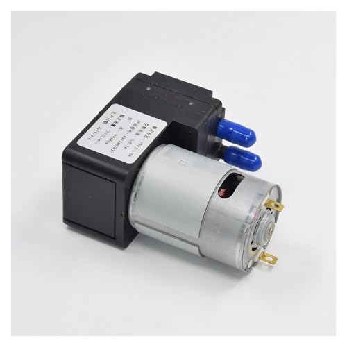 Pompe de beauté RS-550 12V élimine l'air pour un vide parfait 12L/min