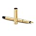 Parker Vector Gold Fountain Pen