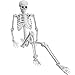 Evinis 5.4ft/165cm Halloween Realistic Full Body Skeleton Life Size Human Bones with Movable Joints for Halloween Party Prop Decoration