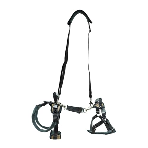 PetSafe Carelift, Unterstützungsgeschirr für Hunde, Ganzkörper-Hebehilfe mit Griff, für behinderte oder ältere Hunde, komfortabel, atmungsaktiv, einfach verstellbar, M