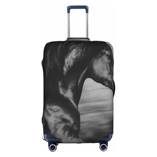 [zhandiffy] n6 AjLkX[cP[XJo[ Lkhh~sJo[ L