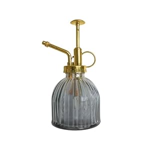The Urban Gardener Glazen Plant Mister Spuitfles voor kamerplanten, hoogte 16cm, 200ml met gouden effect metalen blad