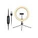 10 'USB Desktop Ring Light con 3 modalità di colore 10 livelli...