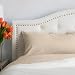 PeachSkinSheets Night Sweats: The Original Moisture Wicking, 1500tc Soft Regular King Sheet Set Almond