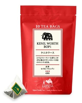 �� �s �V �A �P�j�����[�X �g�� �e�B�[�o�b�O 10�� LUPICIA TBP4501