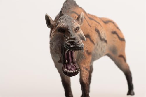 Modelo Entelodontidae Daeodon Shoshonensis de AMITD réplica de jabalí terminator coleccionable 4