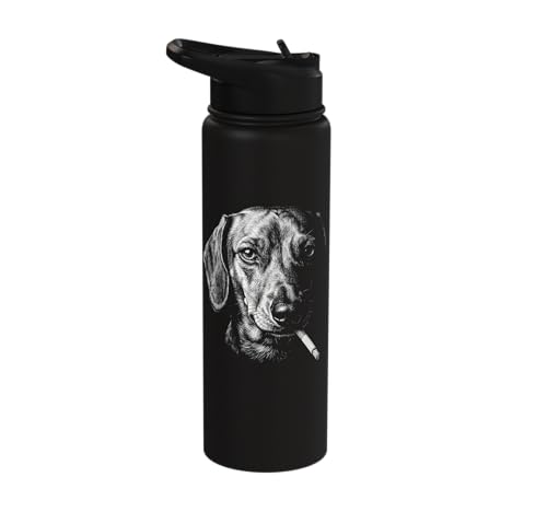 Dachshund Smoking Cigarette Vintage Dachshund Dog Funny Meme Stainless Steel Insulated Water Bottle