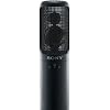 Two Way Condenser Studio Microphone