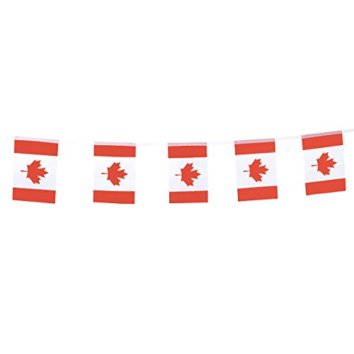 TSMD Canada Flag, 100 Feet Canadian Flag National Country Flags Banner,Party Decorations Supplies for Grand Opening,Olympics,Bar,School Sports Events,International Festival Events Celebration