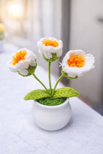 Image of VRB Dec Plastic TM 1 Pcs Crochet Flowers Artificial Daisy for Office Desk Car Dashboard Decor,Home Decoration, Office, Bedroom, Christmas Decor, Wedding,Diwali (Single White Daisy with Pot)