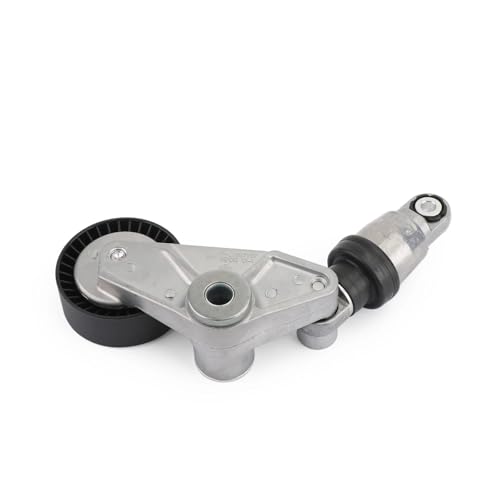 Tendeur de courroie 534029710 pour supprimer sifflement moteur Kyron