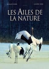 Les Ailes De La Nature (Version française) [DVD]