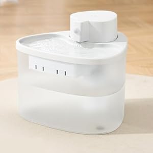 YPDOPORA Batteriebetriebener Katzentrinkbrunnen 2L