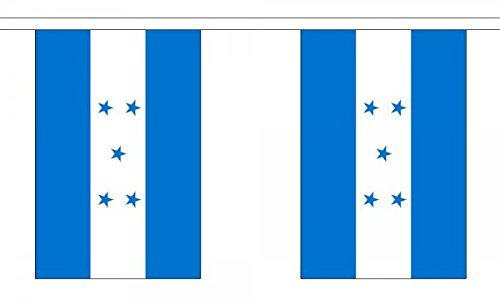 Flagtex Honduras Fabric Bunting – 9m with 30 Flags – Fabric for Indoor & Outdoor Use – String Flags Banners Honduran Central America Latin America — image 1