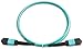 Fluke Networks TRC-MPO-UU-B Test Reference Cord with MPO/MPO, Unpinned/Unpinned, Type B Polarity, 0.3m Length, Fiber Tester Accessory