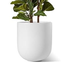 LE TAUCI 12 Inch Pots for Plants, Ceramic Large Planters for Indoor Plants, Indoor Plant Pots for Home Garden Patio Office,…