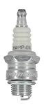 Champion OEM 856-1 Rj17lm Sm Eng Plug Carded