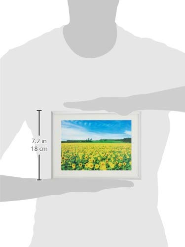 Amazon | ナカバヤシ アルミ製軽量写真額 A4判 シルバー フ-SA-224-S