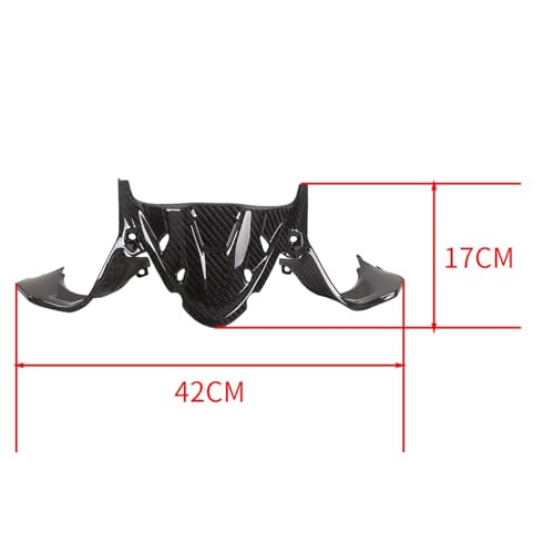 Capot tête moto en carbone Ducati 1199 pour remplacer le plastique usé