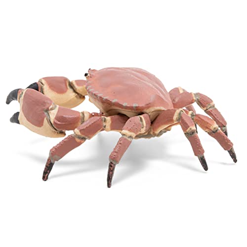 Papo - Realistische Krabbenfigur - Pädagogische Meeresfigur - ab 3 Jahren - Meereswelt - handbemalt - REGT die Fantasie an - 8cm x 7,5cm x 2,5cm - pädagogisches Spielzeug - Geschenkidee