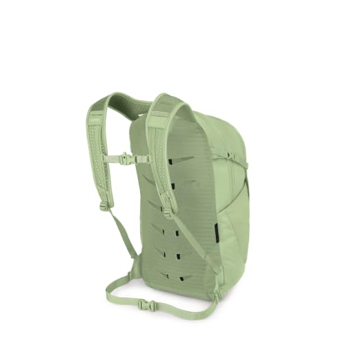 Image of Osprey Daylite Plus Pistachio, Green OS | commuter backpack, everyday bag, campus pack, laptop carry, Green color, OS size