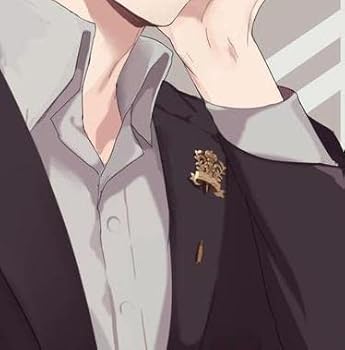 Amazon.co.jp: 加賀美ハヤト バッジ コスプレ ラペルピン 8㎝ 布巾付