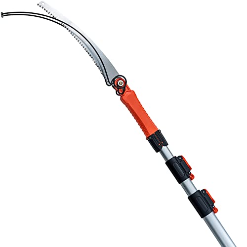 Best Pole Saws [Top Reviews 2022]