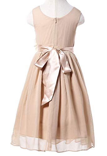 Bow Dream Flower Girl Dress Junior Bridesmaids V-Neckline Chiffon Champagne 16 #TOP2