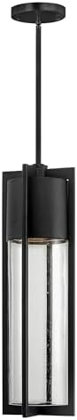 Hinkley Shelter Large Hanging Outdoor Lantern, LED Included, Aluminum, Clear Seedy Glass Shade, Dark Sky Compliant, Black Finish