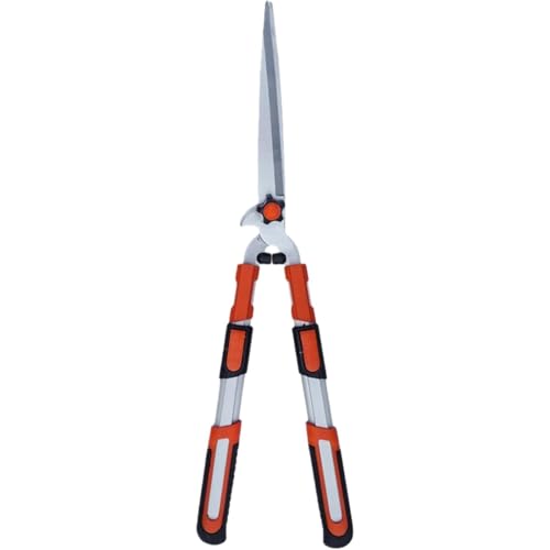 SSZY LkK[fAșASŊ@iLk/njA~߁AőϋvAg₷ (bh) [sAi]