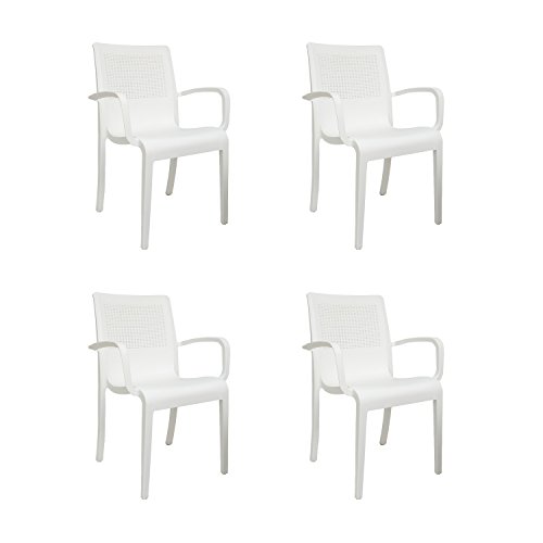 Image of Cello Ecstasy Elegant Set of 4 Chairs (White) | Strong and Durable | Easy to Clean | Chair for Living Room, Bed Room, Kitchen, Office Room, Outdoor | 3 Years Warranty