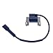 IGCLINIC Ignition Coil Compatible with Briggs & Stratton 490586 492341 690248 715231 798853 491312 495859 492341 595304 591459