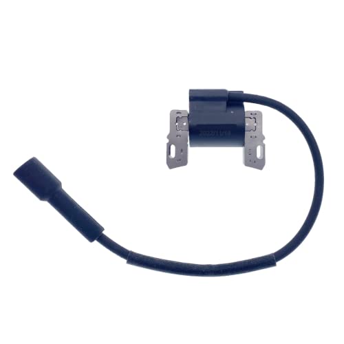 How To Identify And Solve Briggs And Stratton Coil Problems Inside