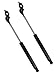 4217 Lexus ES300 1992-1996, Toyota Camry 1991-1996 Hood Lift Supports Strut, Set of 2