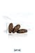 Happy Dog fit & vital Medium Adult D 2 x12 kg