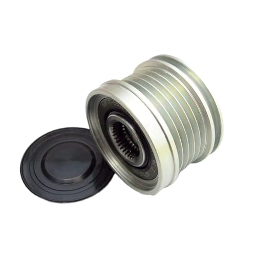 Polea de sobremarcha F-232030.05 con embrague anti vibración para alternador