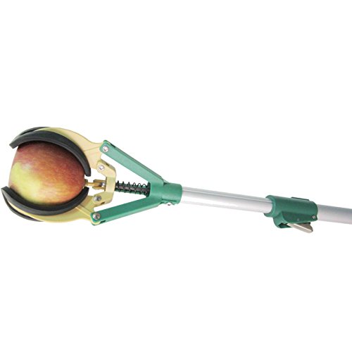 Jasper 54"-81" Aluminum 3 Sections Telescopic Fruit Tree Multi-Function Picker - Gentle Harvesting With No Bruising, Suitable For Various Fruits #TOP1
