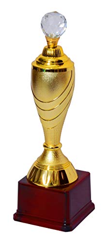 Image of Crystal Globe Trophies Shield for Winners Party Celebrations Ceremony Appreciation Gift for Winners Gold /Brown Cup Trophy Award for School Sport Academy for Teachers and Students