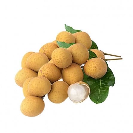 FreshToHome Longan Fruit 450g (Vietnam)