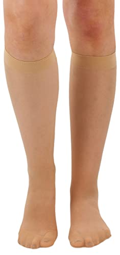 Image of ToBeInStyle Women's Pack Of 6 Pairs Sheer Knee-Hi Nylon Solid Socks