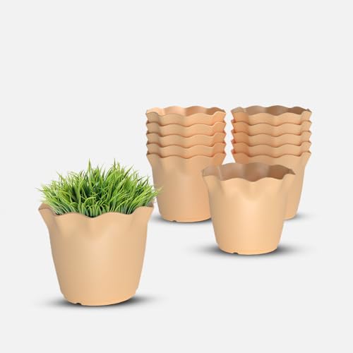 Image of YUCCABE ITALIA SHERA Flower Plastic Flower Pot Unbreakable Round Shape Planter with Drainage Holes Planter Suitable for Home Garden Seedling Indoor and Outdoor (Beige, 4 INCH - 12 Pcs)