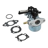 Zoom IMG-1 lawnoval idropulitrice motorizzata 2700 3000 Zoom IMG-1 lawnoval idropulitrice motorizzata 2700 3000