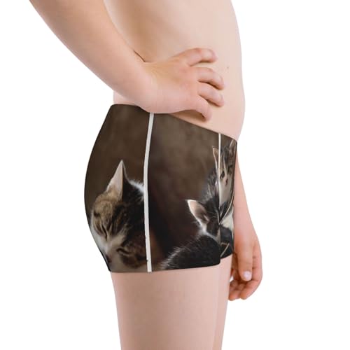 Boys' Cotton Boxer Brief Soft Underwear-Cat Family2